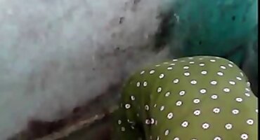 hồng hài nhi sex Một phụ nữ trẻ fucks trong ass sex mỹ đen với một ông già.